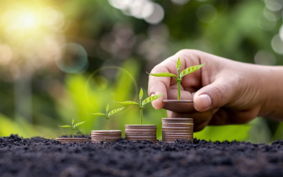 Pendidikan : Investasi Terbaik Untuk Masa Depan